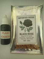 Black Rose Seeds (Pack of 20) with Plant Growth Serum