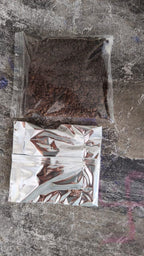 Eclipse Rose Seeds Pack of 1